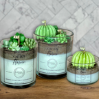 Cactus Flower Coconut Apricot Wax Blend Container Candle
