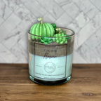 Coconut Apricot Wax Blend Container Candle 15oz 425g