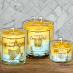 Mango Coconut Milk Coconut Apricot Wax Blend Container Candles